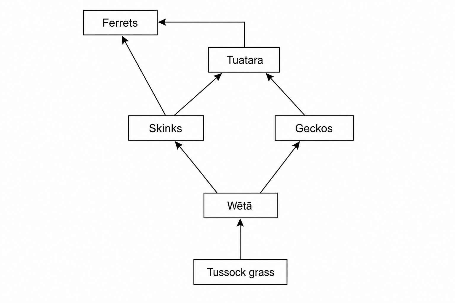 A food web diagram on an offshore island