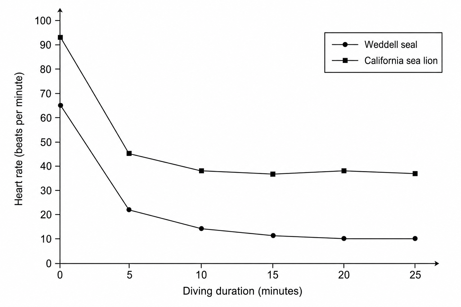 Physiological response of two marine mammals during a dive