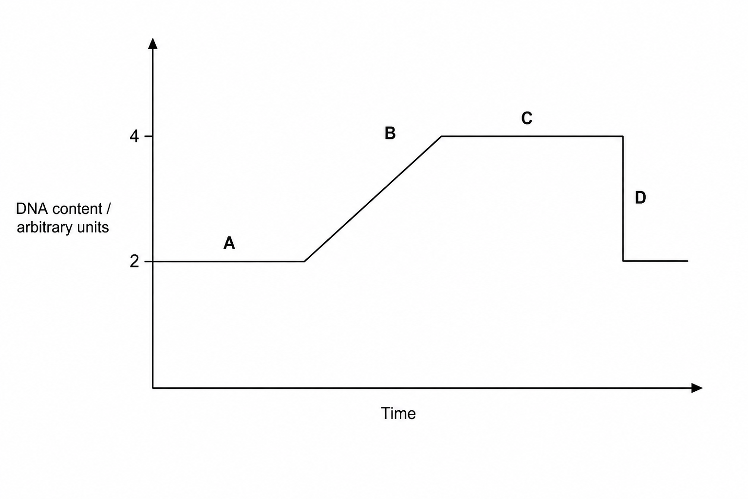 Graph showing DNA content against time