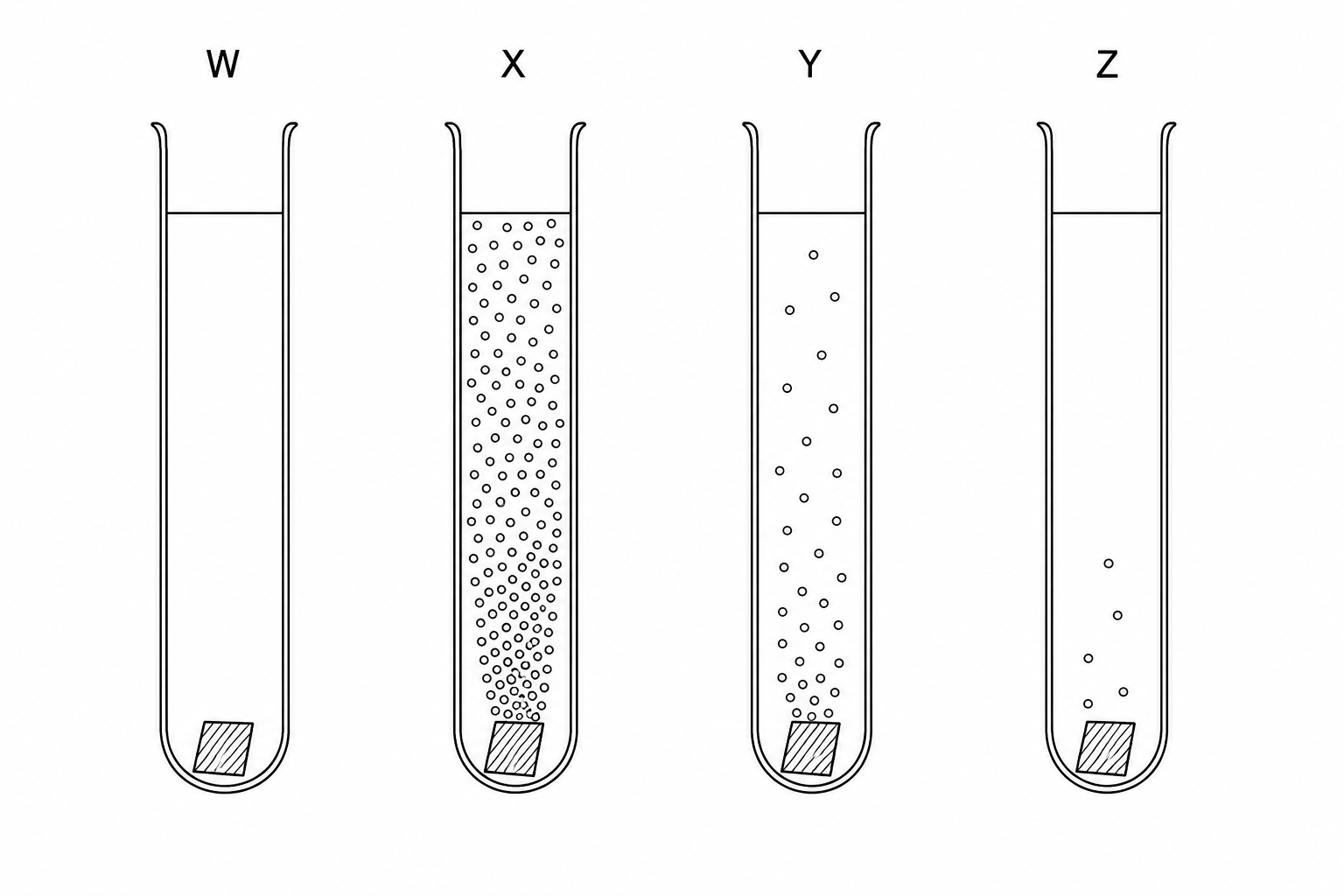Four test tubes containing dilute hydrochloric acid and a piece of metal at the bottom: Tube W has no bubbles; Tube X has a very fast rate of bubbling with many bubbles; Tube Y has a moderate rate of bubbling; Tube Z has a slow rate with very few bubbles.