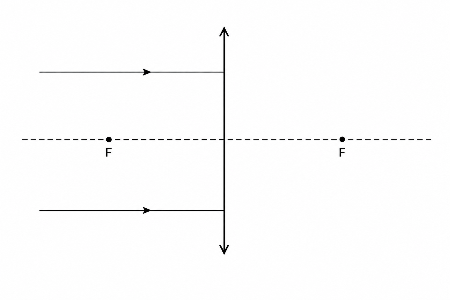 Figure 1: Two parallel horizontal light rays entering a thin converging (convex) lens from the left, parallel to the central horizontal principal axis.