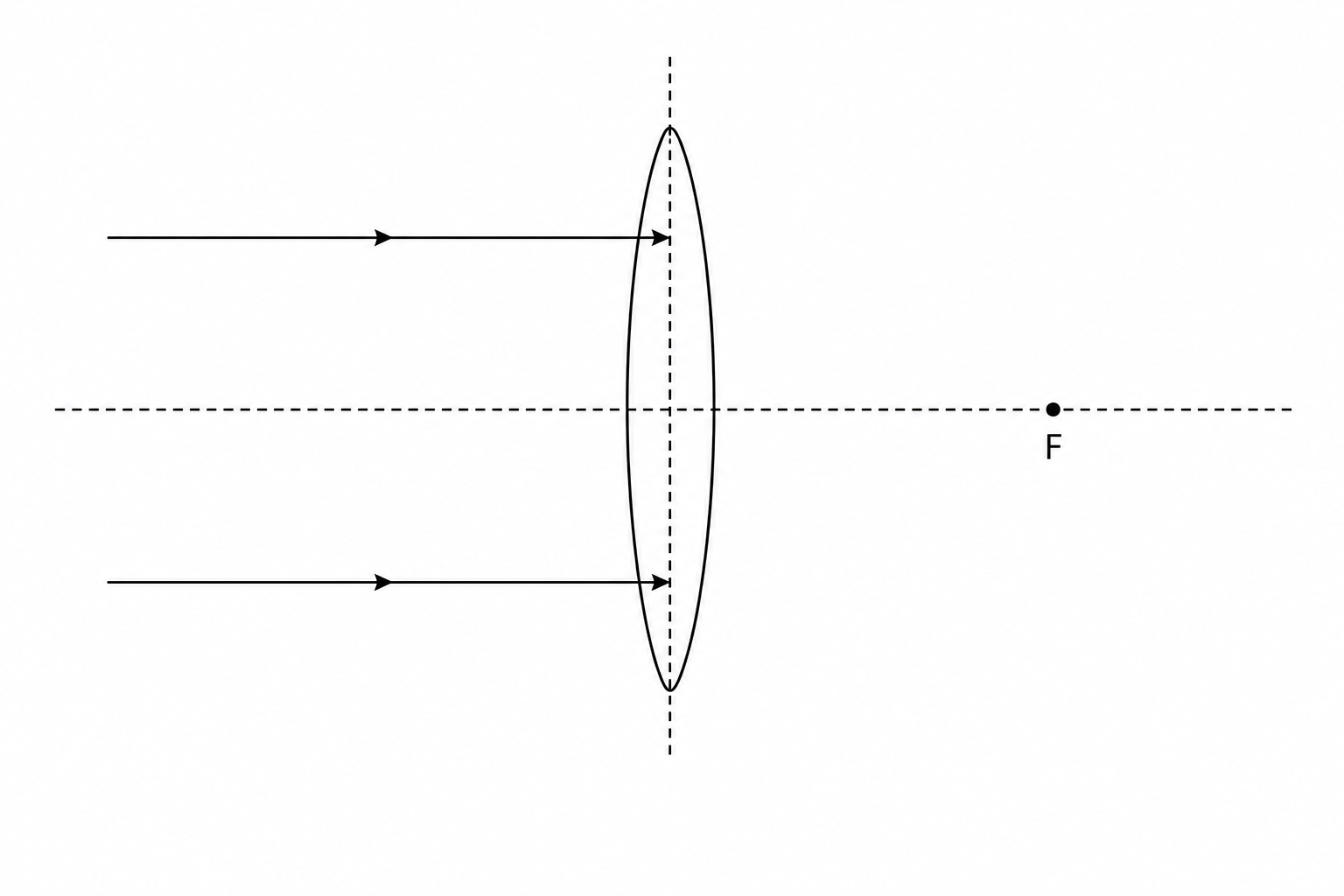 Figure 6: Two parallel light rays incident on a convex glass lens.