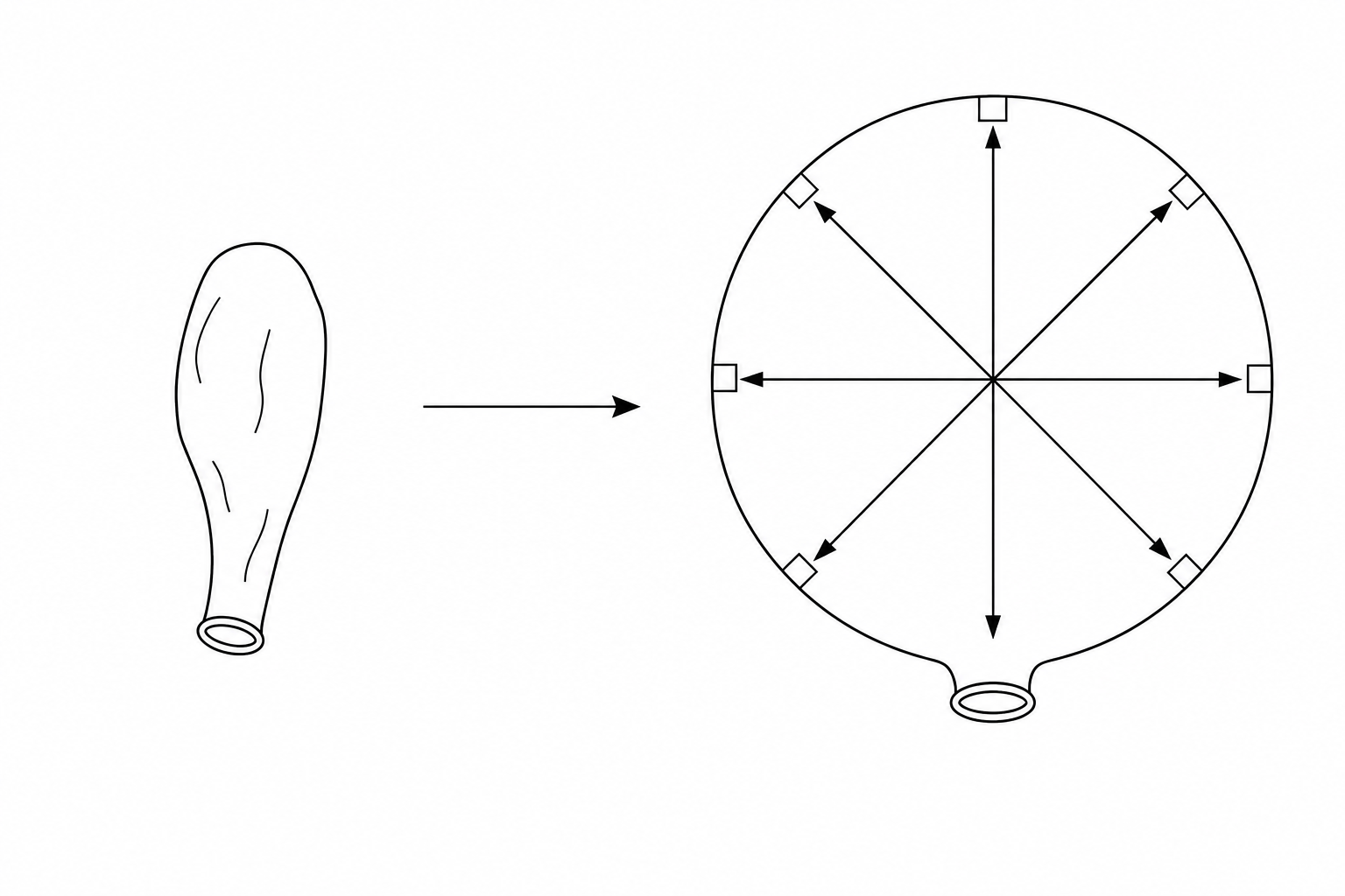 A latex party balloon before and after inflation. In the inflated balloon, arrows representing the force exerted by the air molecules point directly outwards at a right angle to the curved surface of the balloon wall.