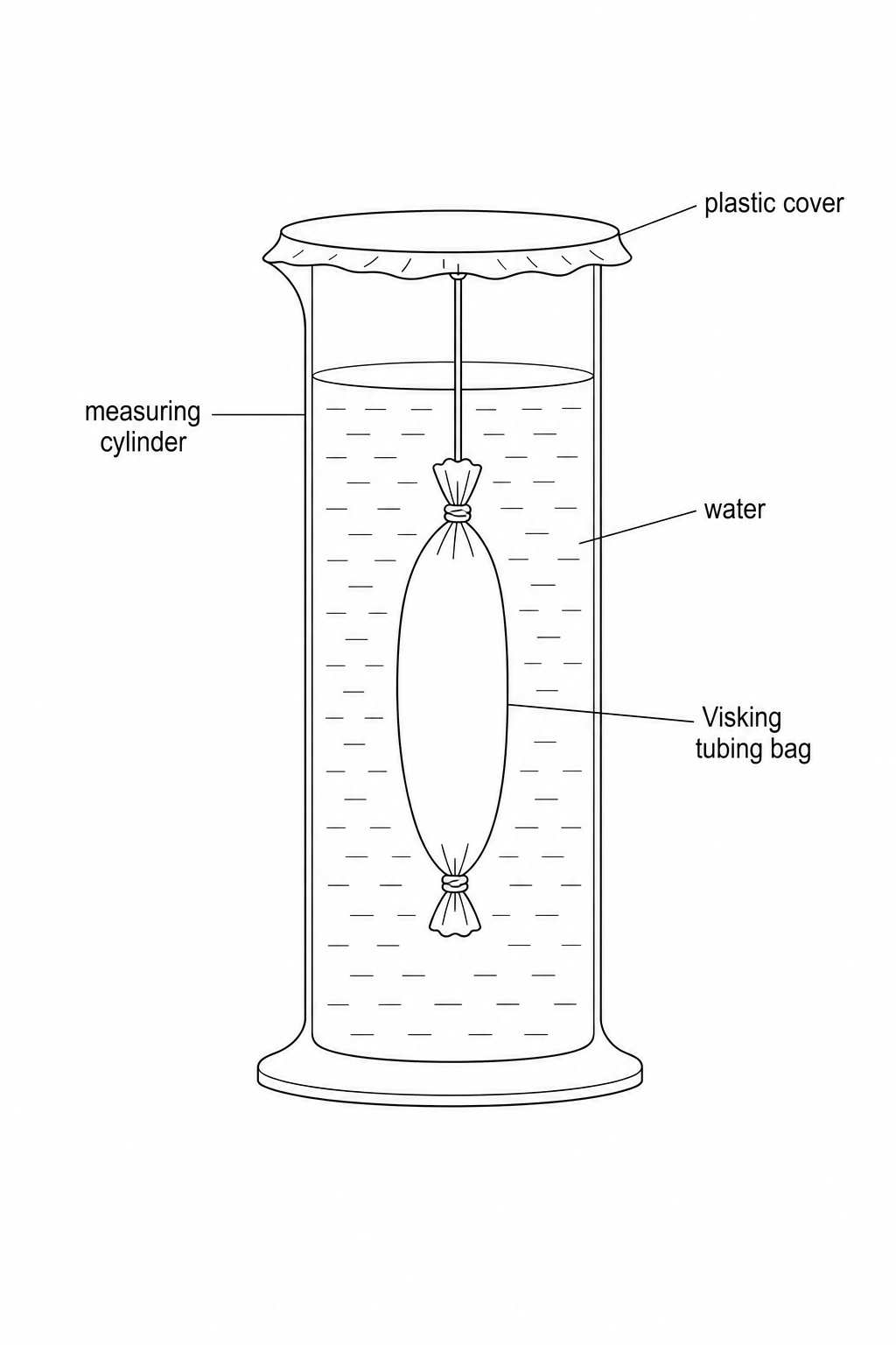 A diagram showing a vertical measuring cylinder containing water, inside of which is suspended a Visking tubing bag knotted at both ends, containing a solution of various substances. The top of the measuring cylinder is sealed with a plastic cover.
