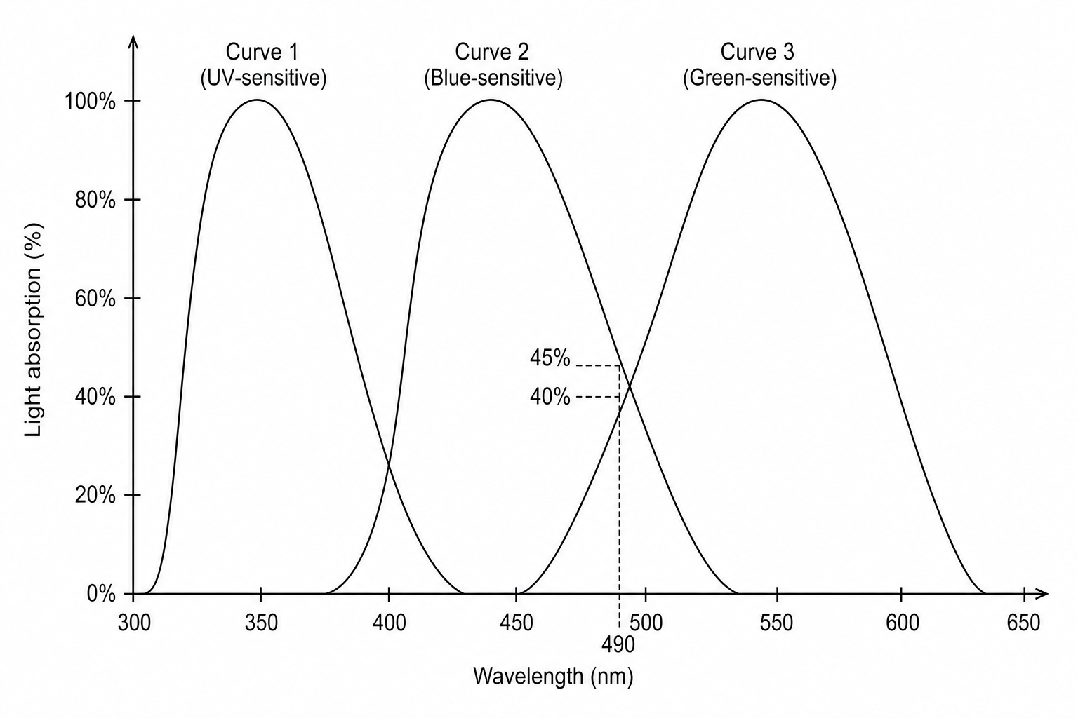 Figure 1: Wavelengths of light absorbed by three types of photoreceptors in the honeybee retina.