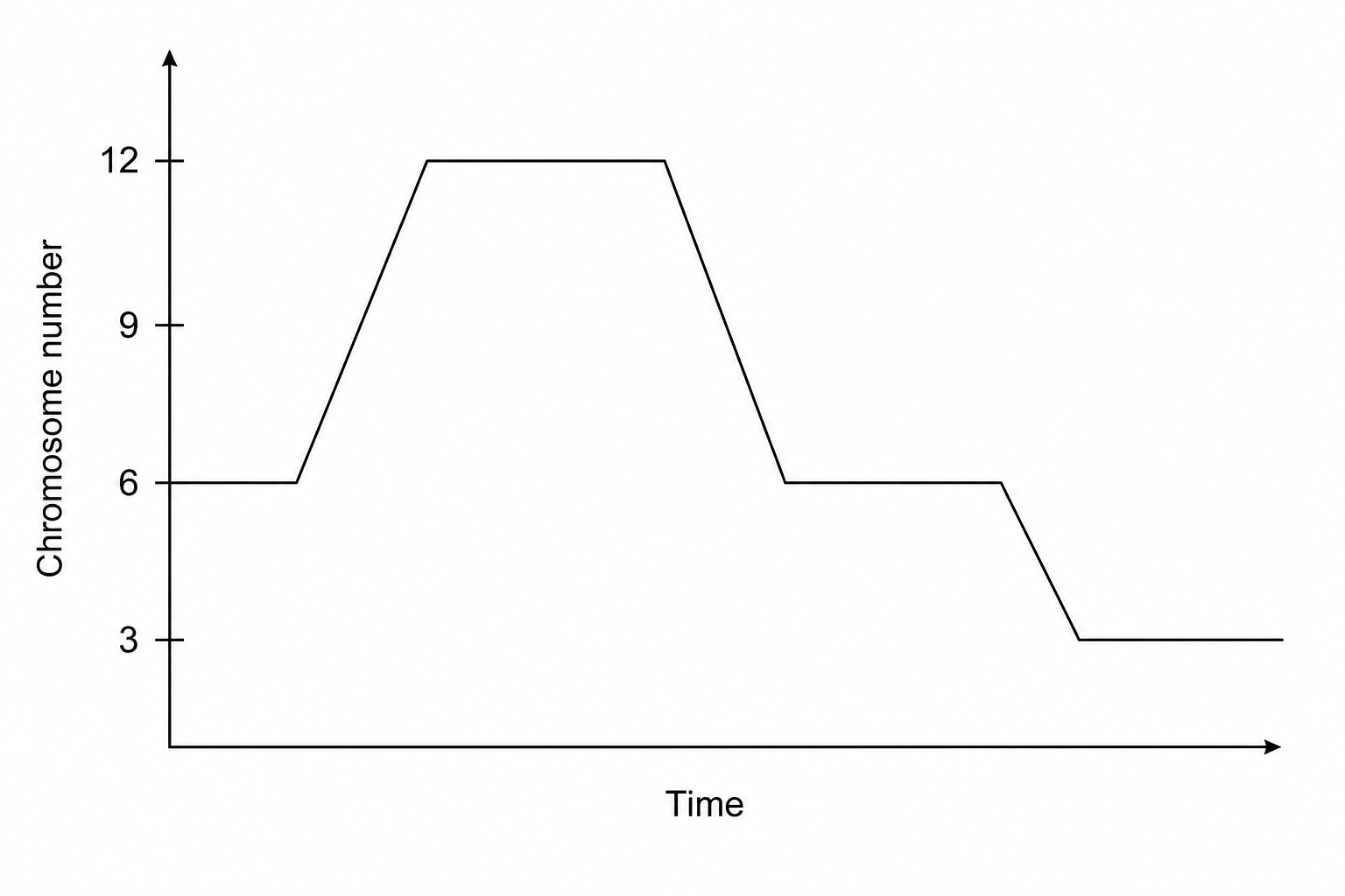 Graph showing changes in chromosome number during meiosis