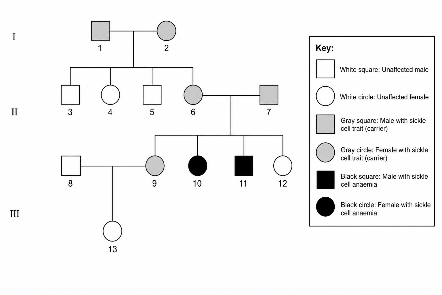 A pedigree chart showing the inheritance of sickle cell anaemia across three generations, as described in the text.