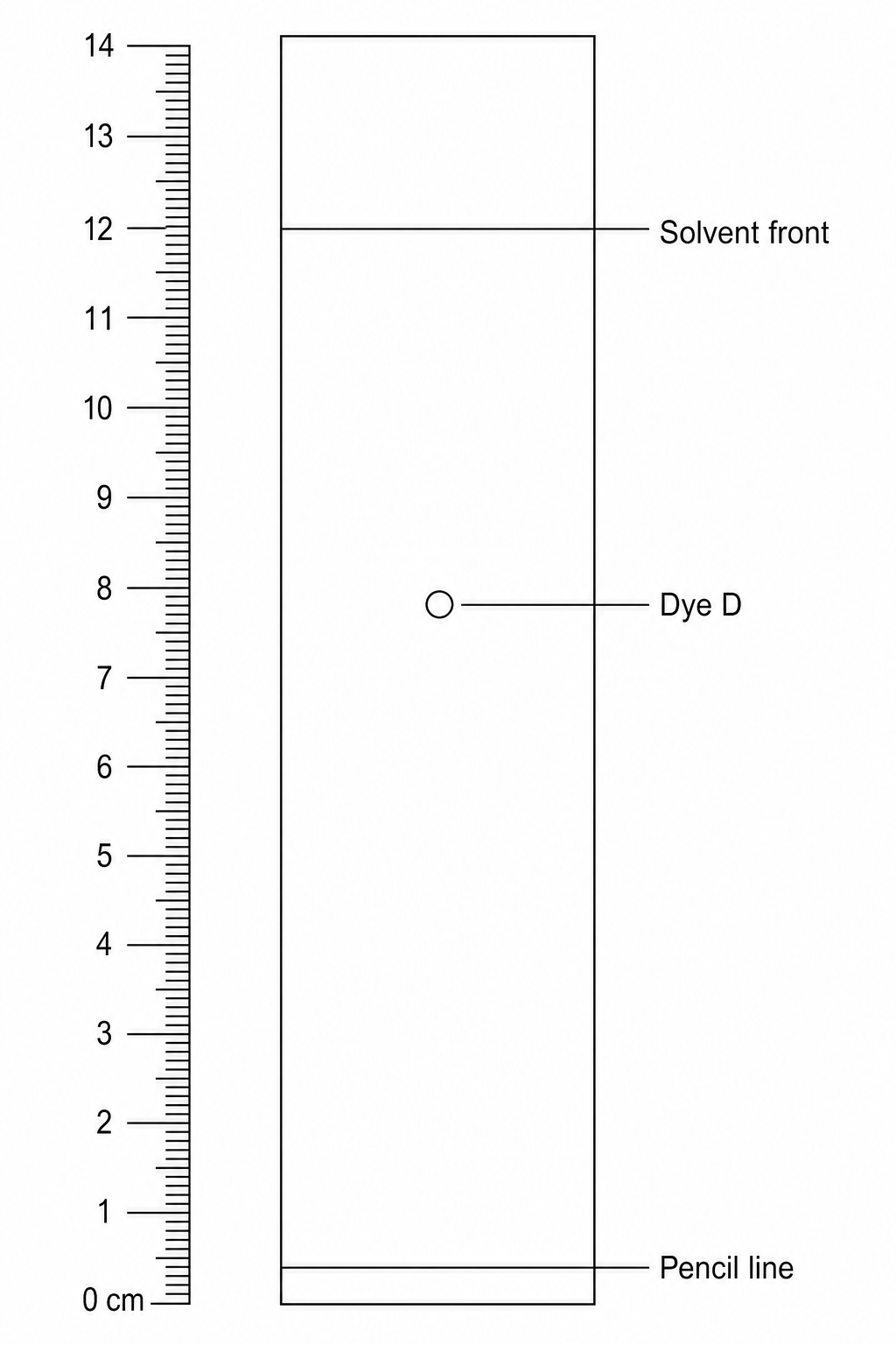 TLC Chromatogram of Dye D