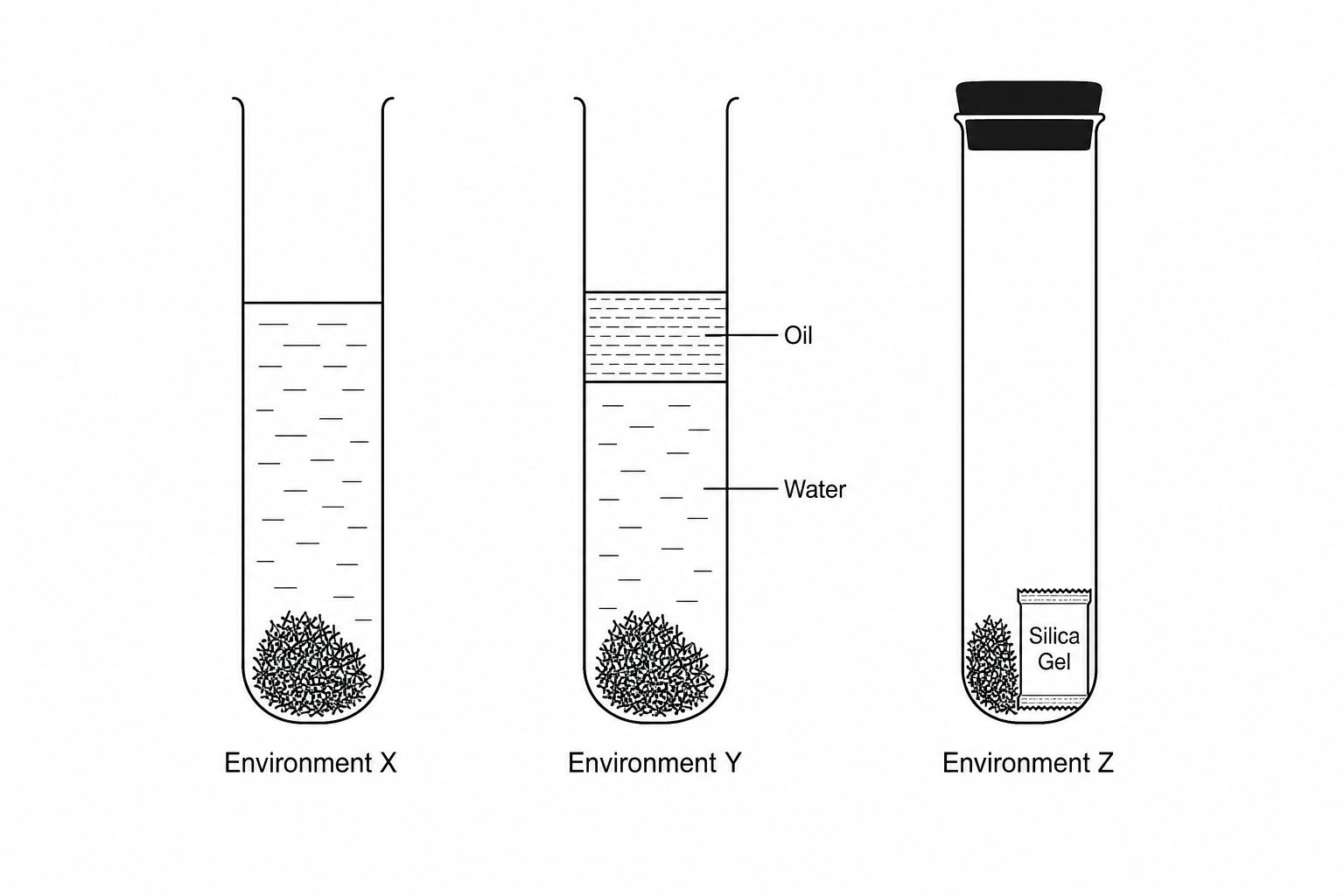 Experimental setup of three environments containing iron filings