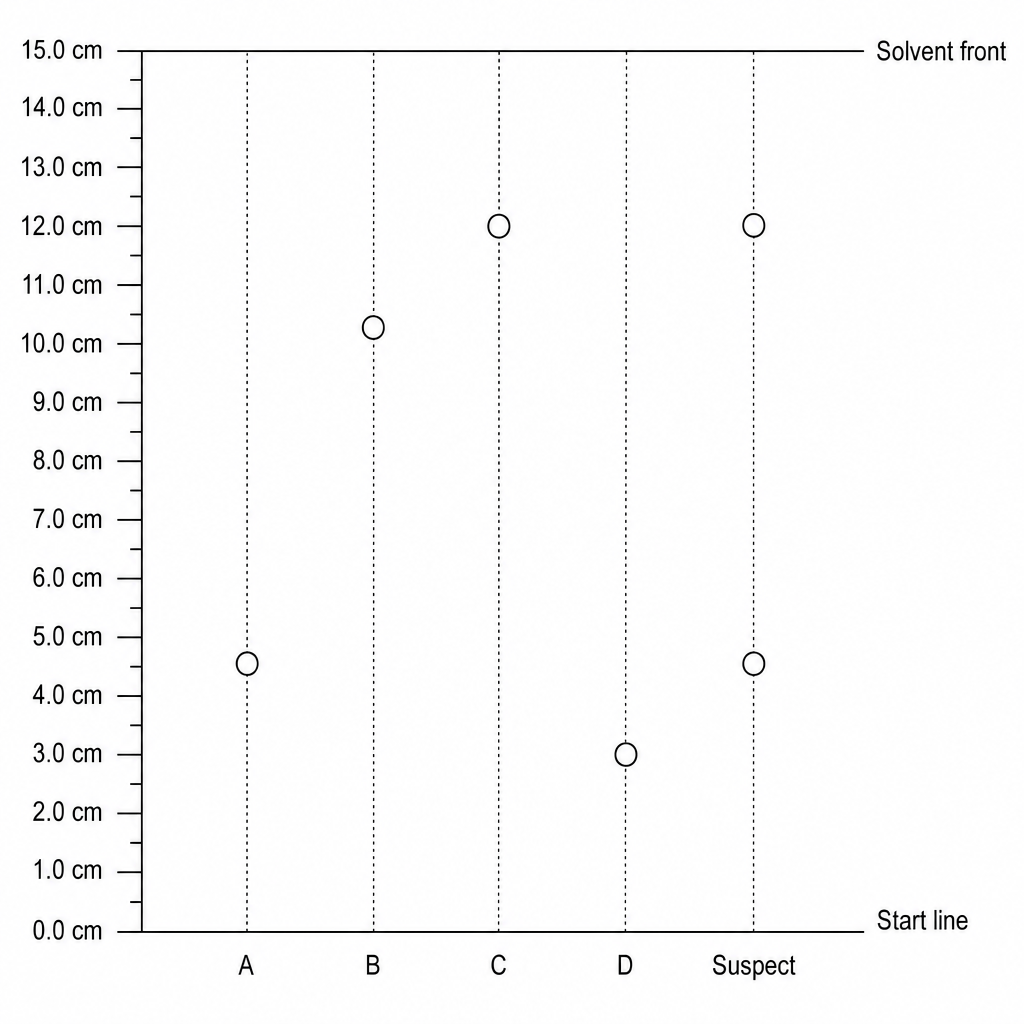 TLC Chromatogram