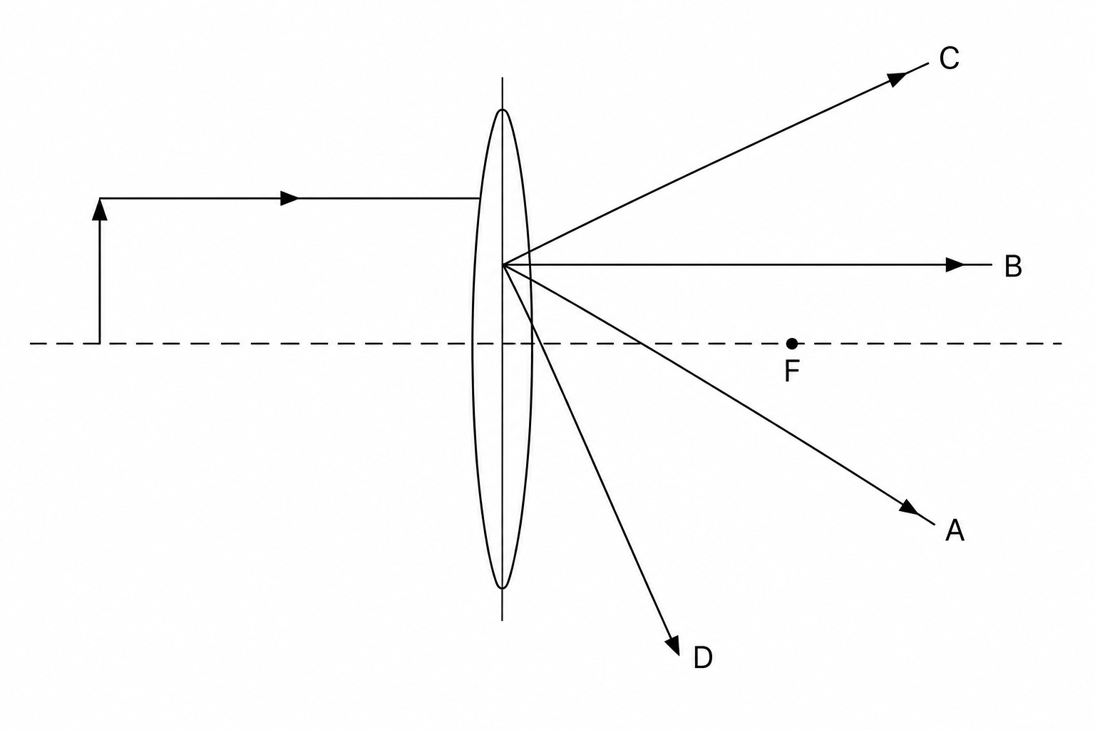 Four possible paths for a ray of light passing through a convex lens