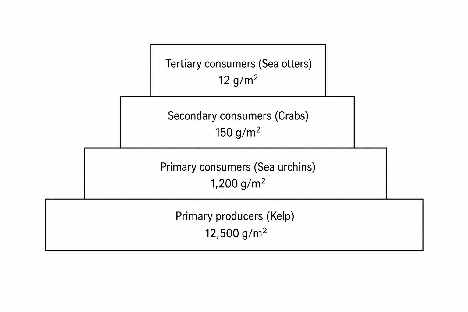 Pyramid of Biomass