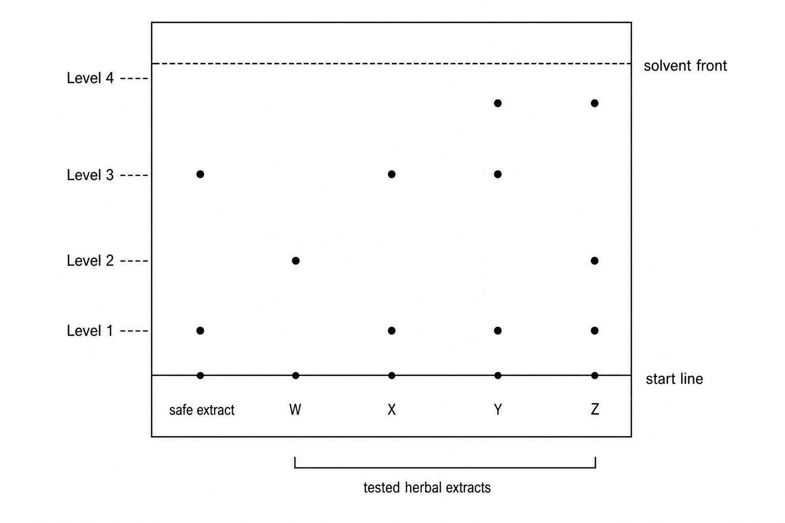 A paper chromatogram with a horizontal start line near the bottom containing five sample origins labelled from left to right: 'safe extract', 'W', 'X', 'Y', and 'Z'. Above the start line, the vertical solvent paths show spots representing individual components. 'safe extract' has two spots: a lower spot (Level 1) and a medium-high spot (Level 3). 'W' has only a single spot at a medium-low level (Level 2). 'X' has two spots, matching the 'safe extract' at Level 1 and Level 3. 'Y' has three spots: Level 1, Level 3, and a high spot near the top (Level 4). 'Z' has two spots: Level 2 and Level 4. A bracket underneath W, X, Y, and Z is labelled 'tested herbal extracts'.