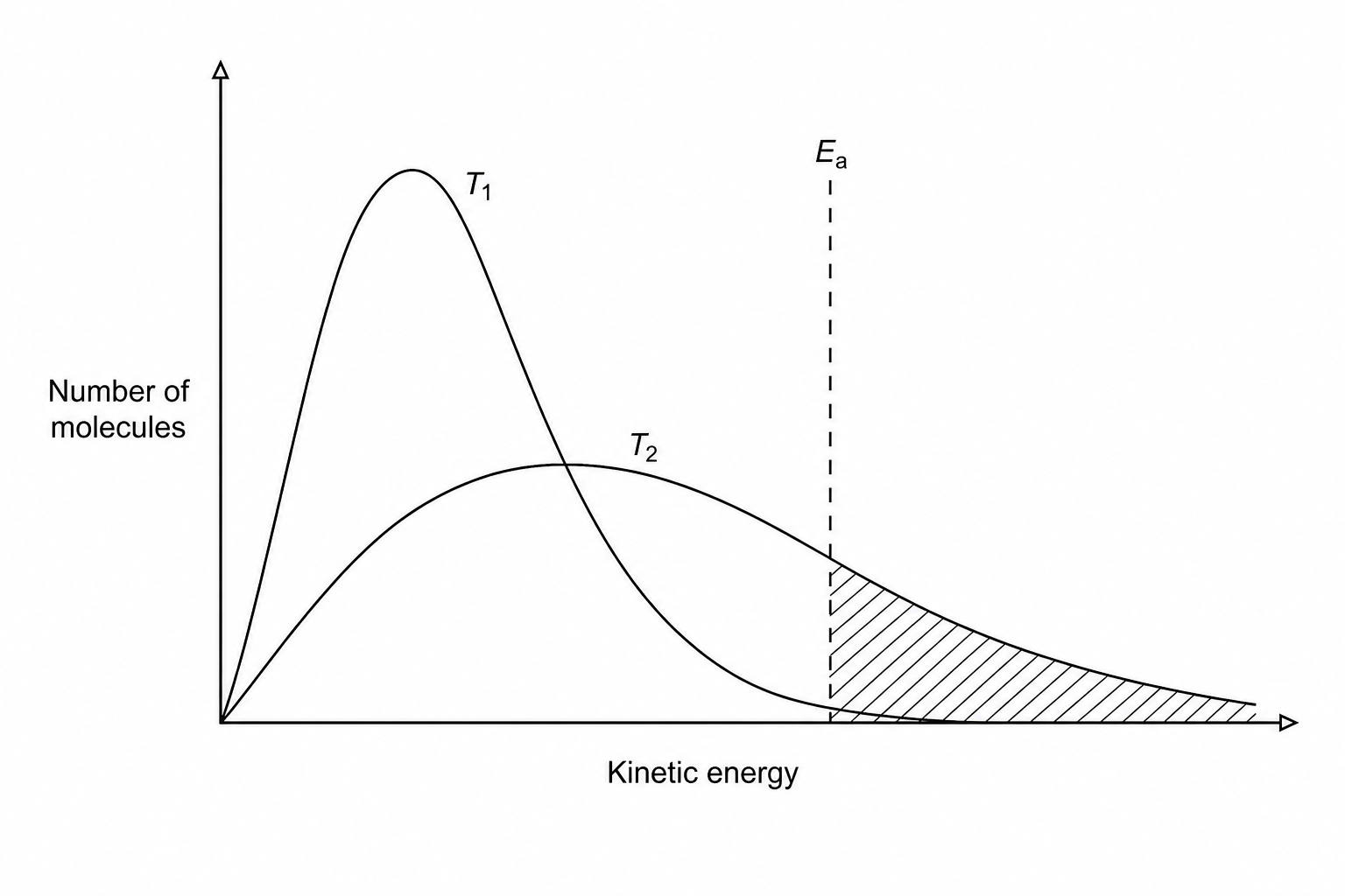 Maxwell-Boltzmann distribution curves