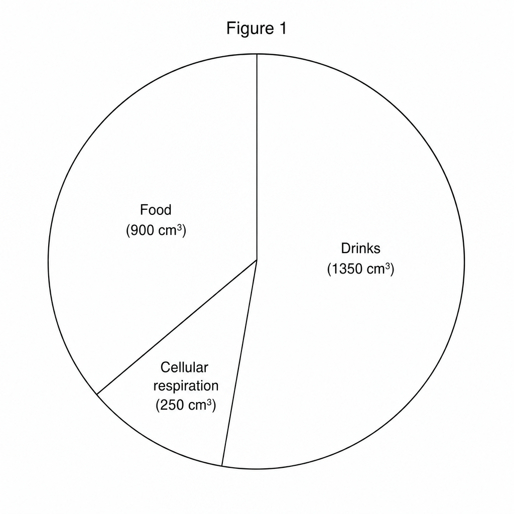 A pie chart titled 'Figure 1' showing the sources of daily water intake. The sectors are: Drinks (1350 cm³), Food (900 cm³), and Cellular respiration (250 cm³).