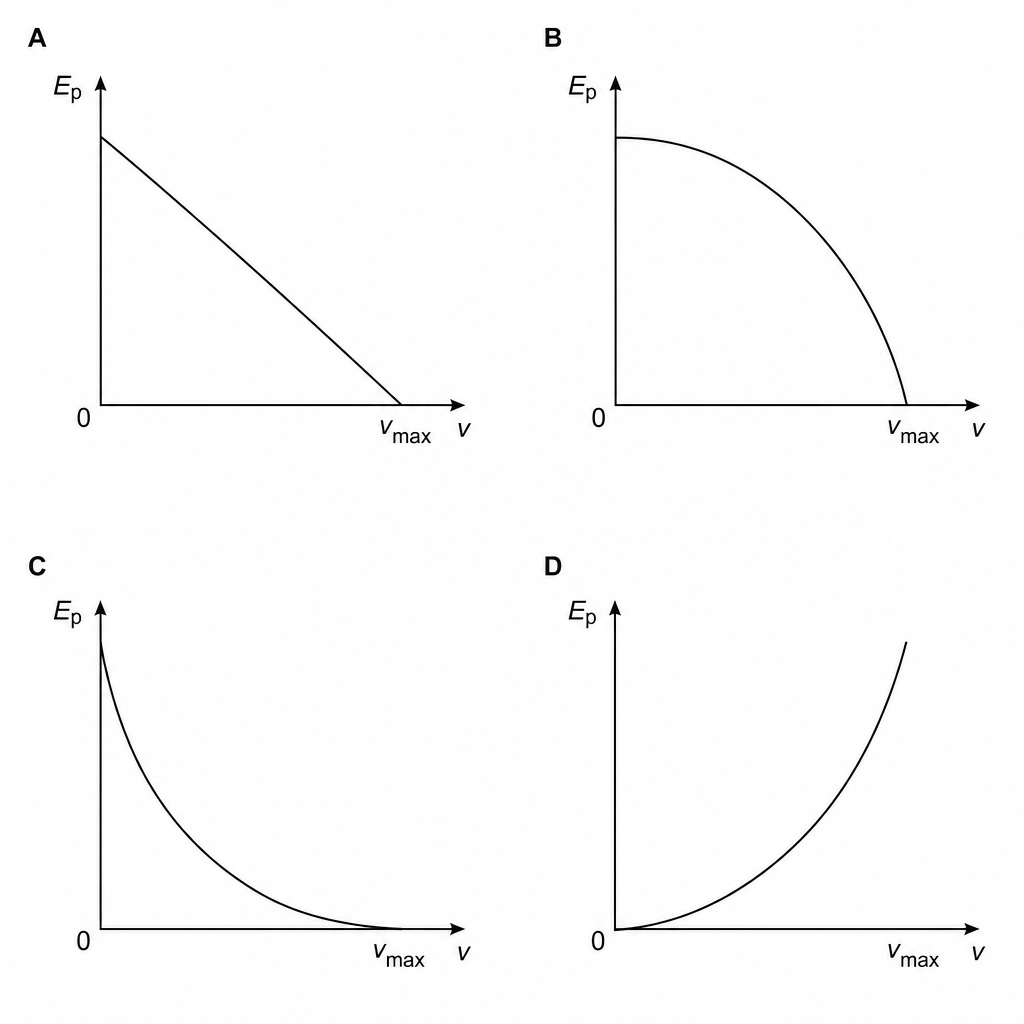 Graph Options