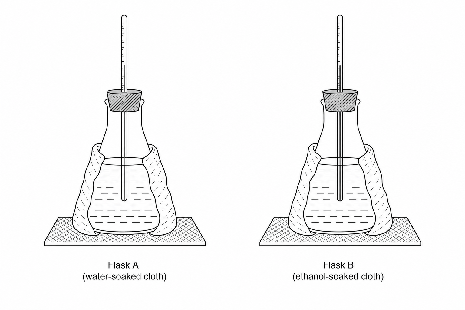 Experimental setup showing two identical conical flasks on heatproof mats, each containing hot water. Flask A is wrapped in a water-soaked cloth, and Flask B is wrapped in an ethanol-soaked cloth. Each flask has a rubber bung and a thermometer.