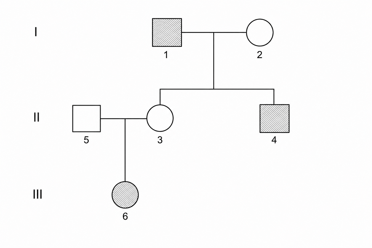 A pedigree chart showing the inheritance of alkaptonuria, an autosomal recessive condition.