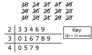 stem and leaf 18
