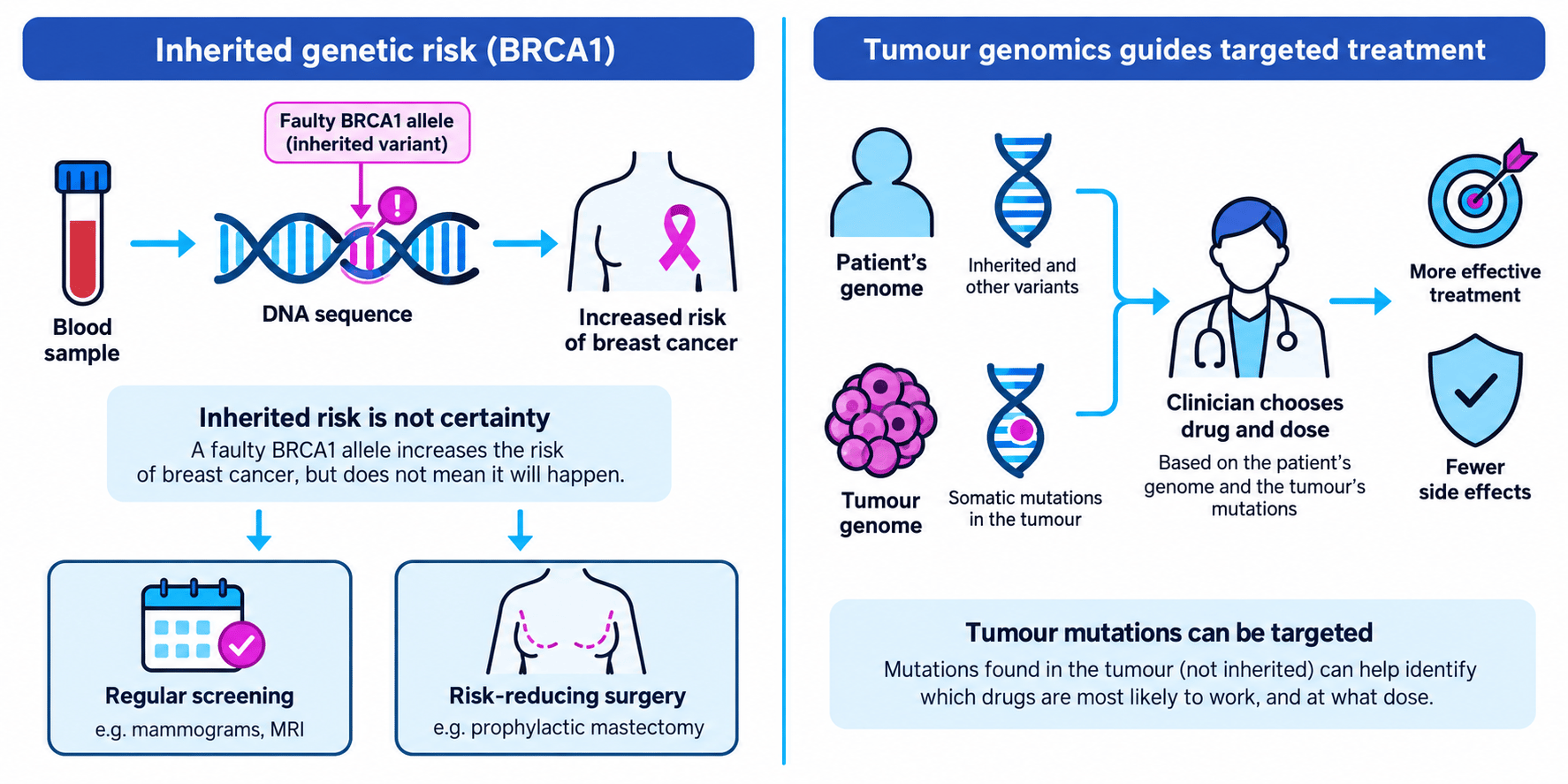 Flow diagram linking a blood sample and DNA testing to increased BRCA1-related cancer risk, screening or surgery, and genome-guided drug choice