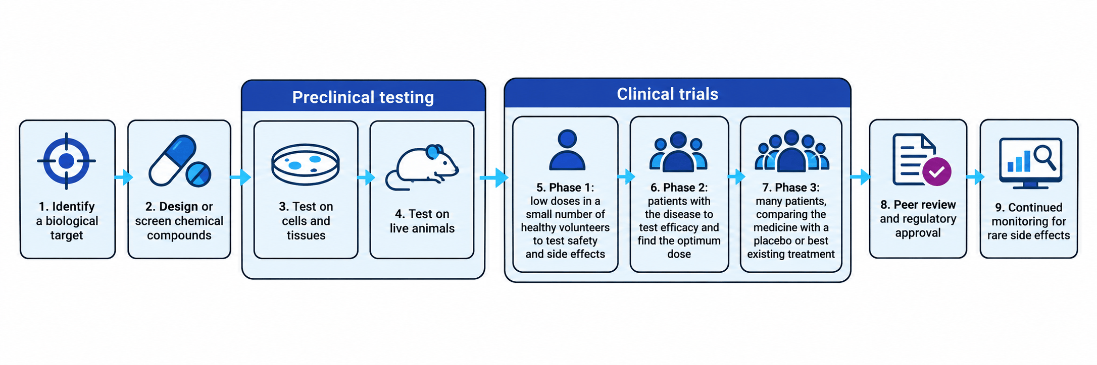 Flowchart showing the stages from identifying a target and screening compounds through preclinical testing, clinical trials, approval and monitoring