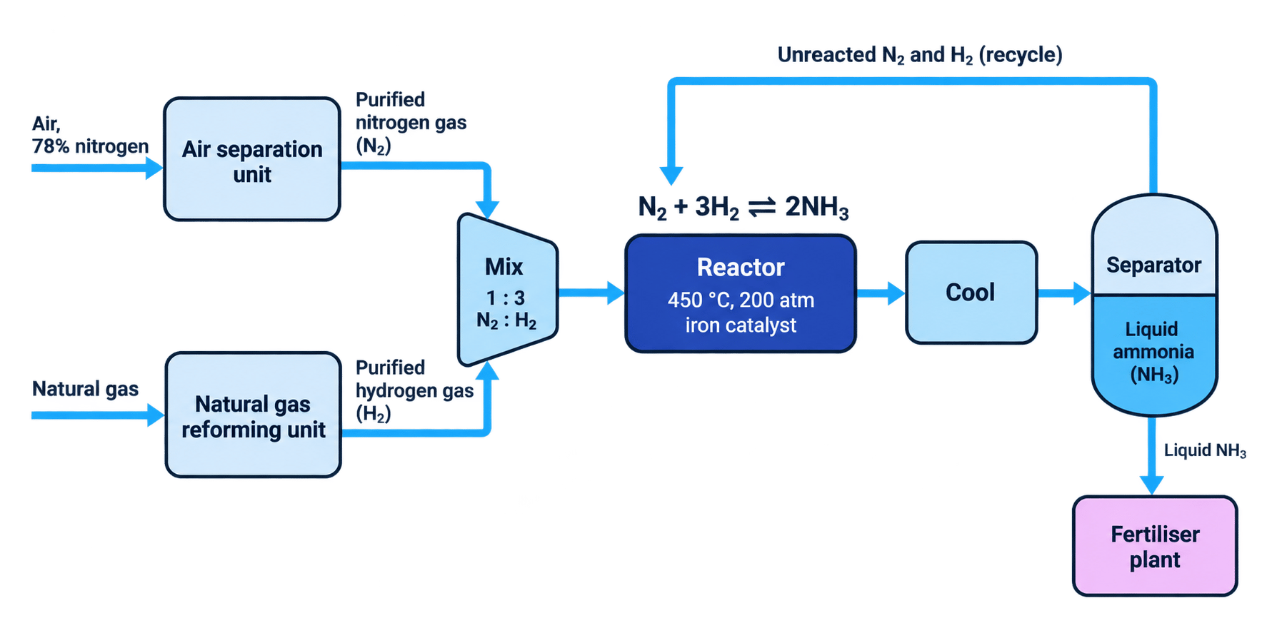 Flow diagram of the Haber process showing nitrogen from air and hydrogen from natural gas entering a reactor, ammonia being condensed and removed, and unreacted gases being recycled