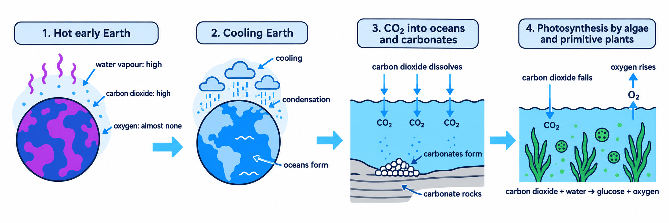 Four-stage process diagram showing early atmospheric gases, ocean formation, carbon dioxide storage in carbonate rocks, and oxygen production by photosynthesis