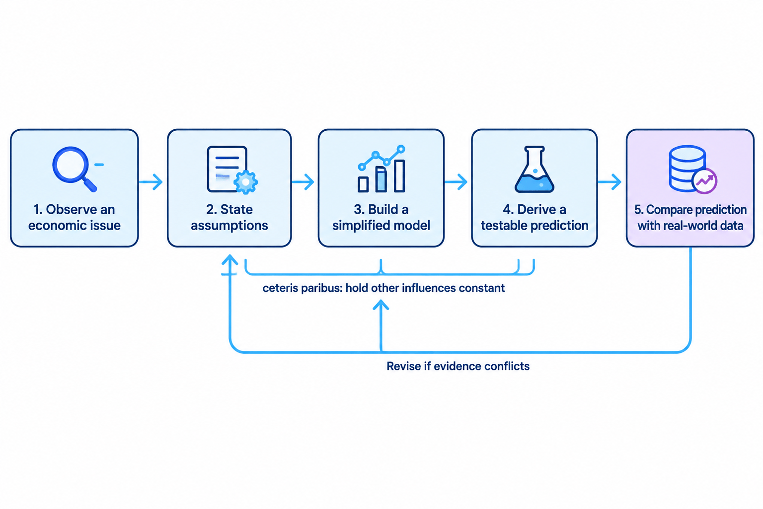 Flow diagram showing observation, assumptions, a simplified model, a testable prediction and comparison with real-world data, with revision after conflicting evidence and ceteris paribus applied during modelling