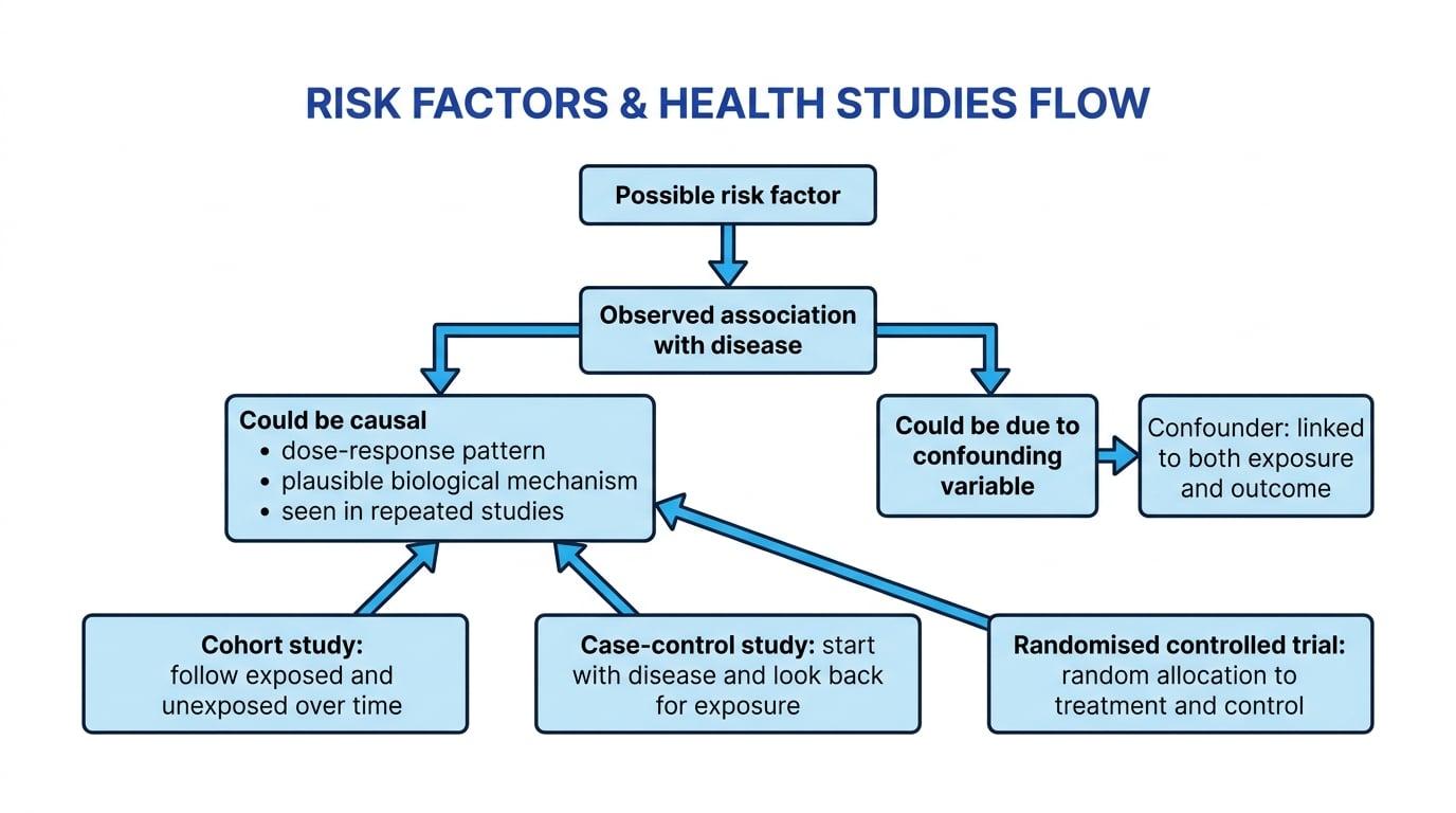 Flow chart linking a possible risk factor to an observed disease association, showing causal and confounding pathways and the study designs cohort, case-control and randomised controlled trial