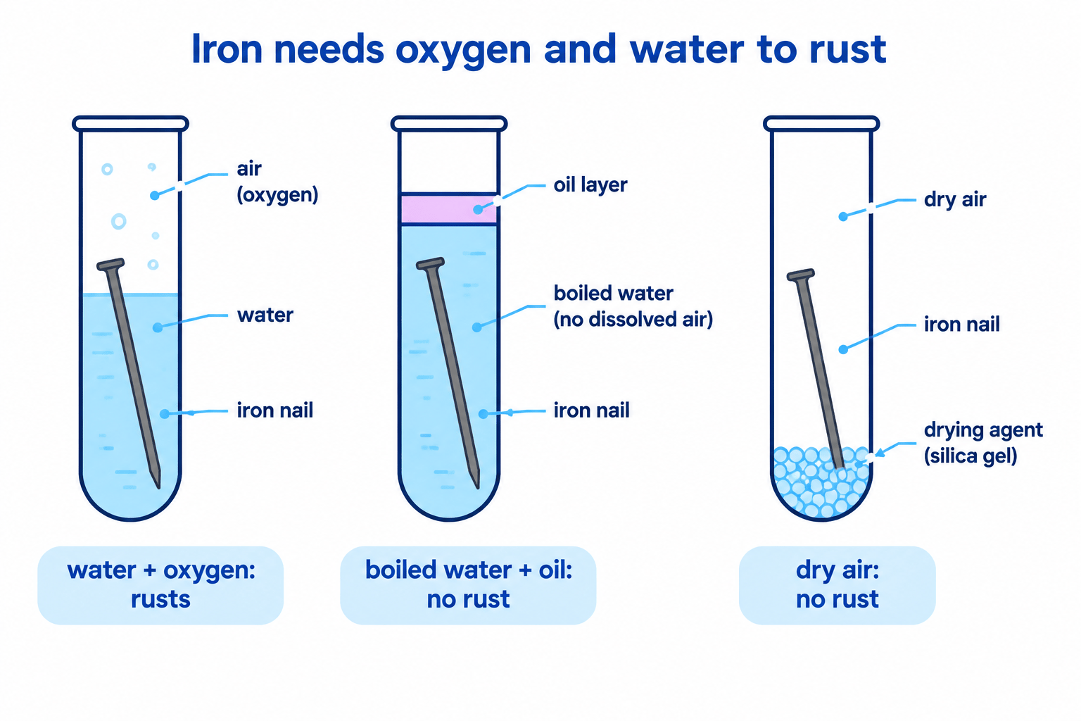 Three test tubes showing that iron needs both oxygen and water to rust