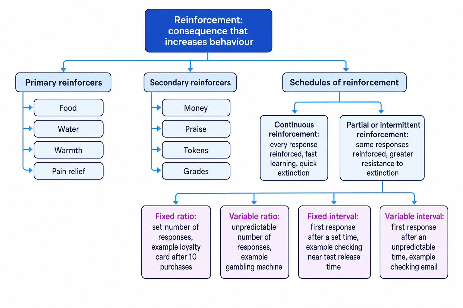 Concept map showing reinforcement branching into primary and secondary reinforcers and into continuous and partial schedules with fixed ratio, variable ratio, fixed interval, and variable interval examples