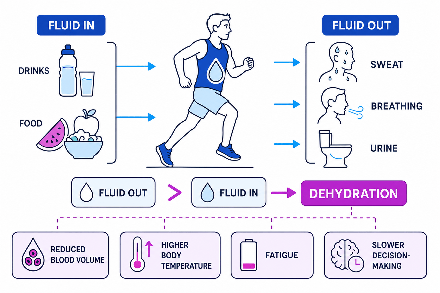 Flow diagram showing fluid in from drinks and food, fluid out through sweat, breathing and urine, and dehydration when fluid out exceeds fluid in