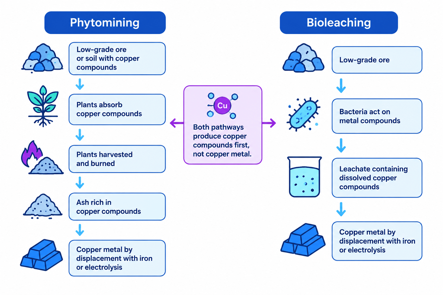 Flowchart comparing phytomining and bioleaching pathways from low-grade copper ore to copper metal