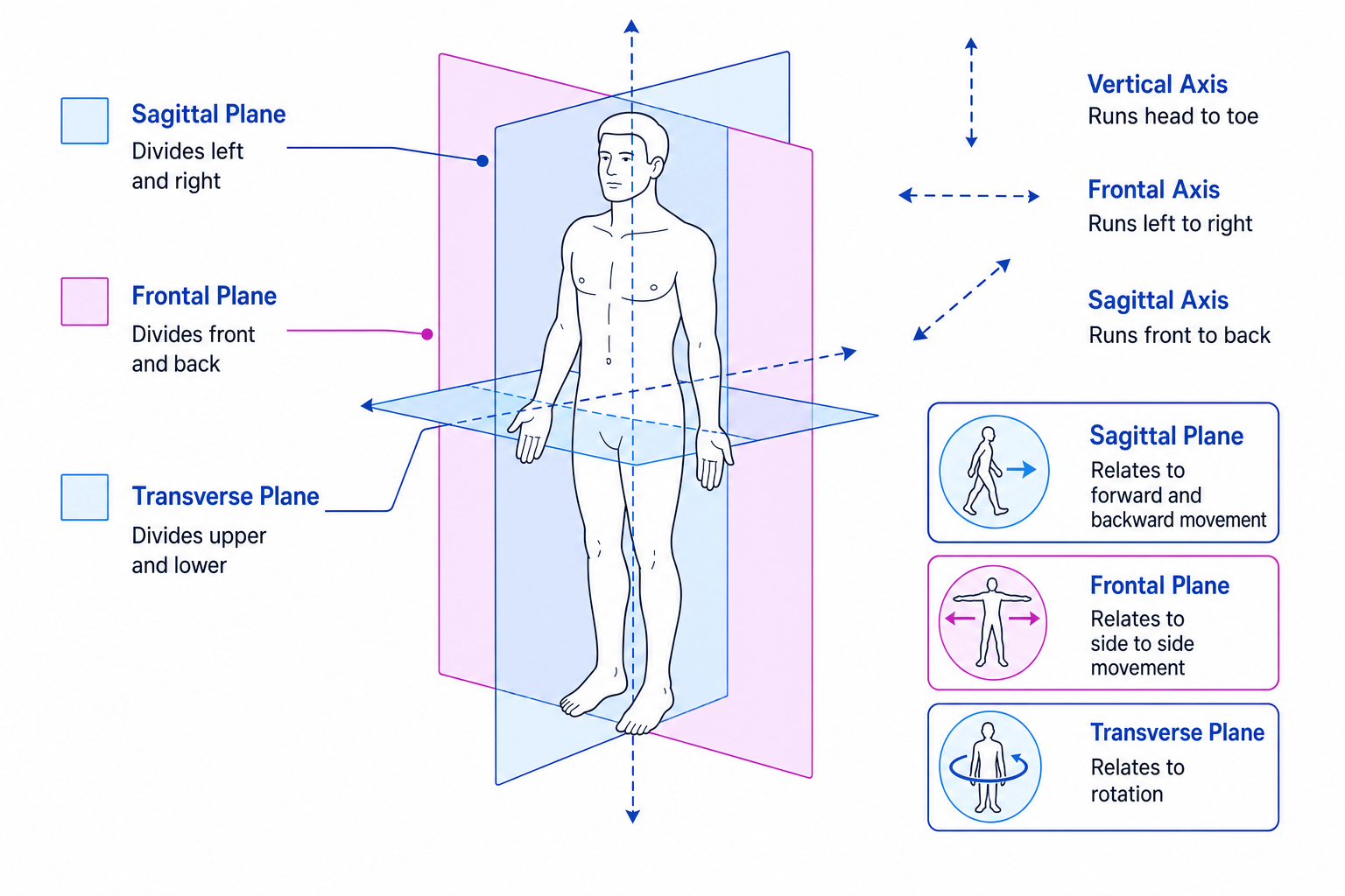 Figure in anatomical position with sagittal, frontal and transverse planes plus frontal, sagittal and vertical axes labelled