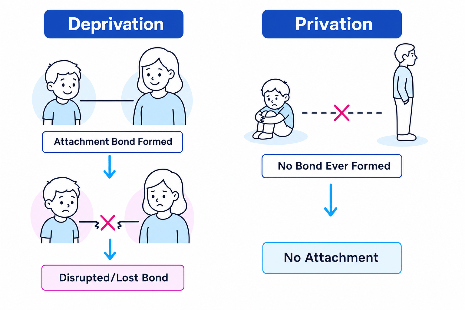 Maternal Deprivation vs Privation