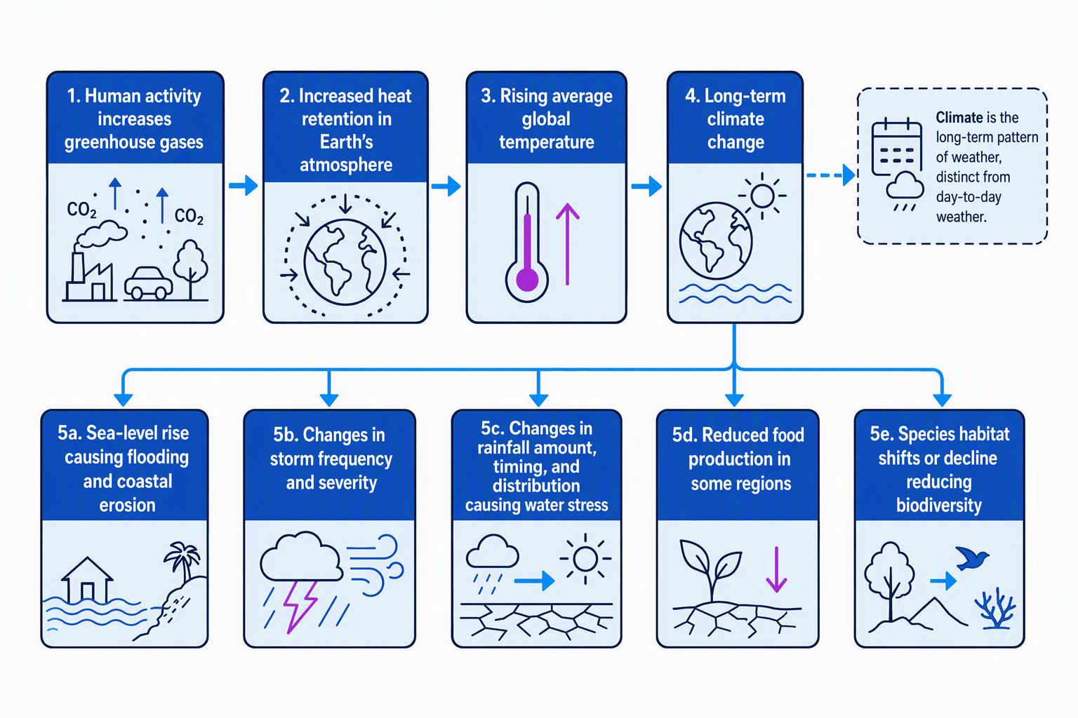 Flowchart showing human activity, greenhouse gases, rising average global temperature, climate change, and possible effects
