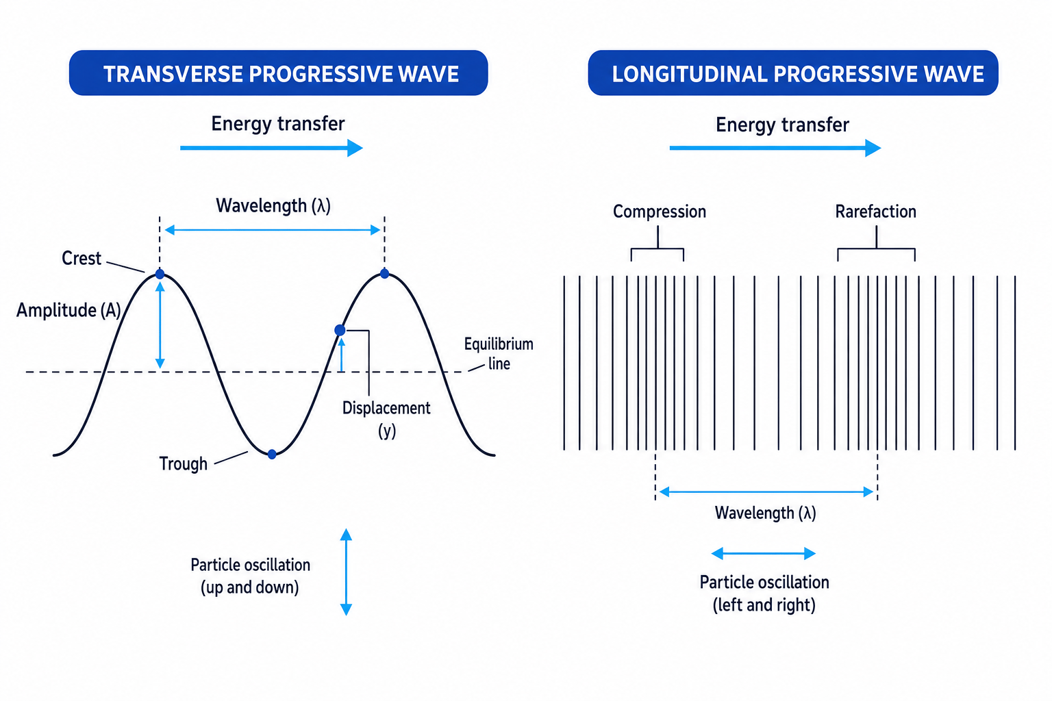 Side-by-side diagrams of a transverse wave and a longitudinal wave with wavelength, amplitude, displacement, compressions and rarefactions labelled