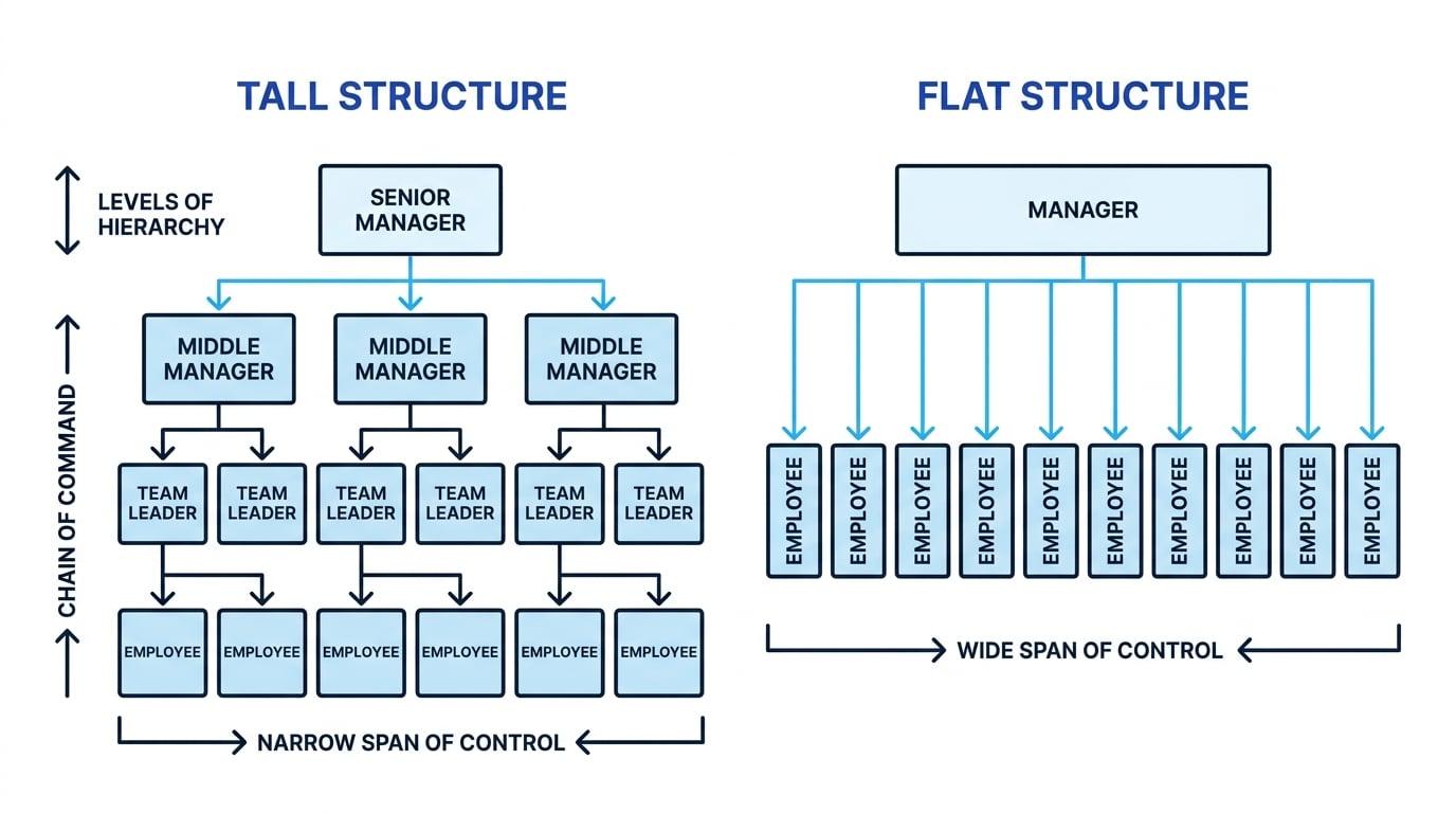 Tall and flat organisational charts comparing levels of hierarchy, chain of command, and narrow versus wide spans of control