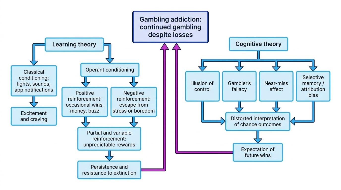 Flowchart showing learning theory with conditioned cues and reinforcement, and cognitive theory with gambling biases, both leading to continued gambling despite losses