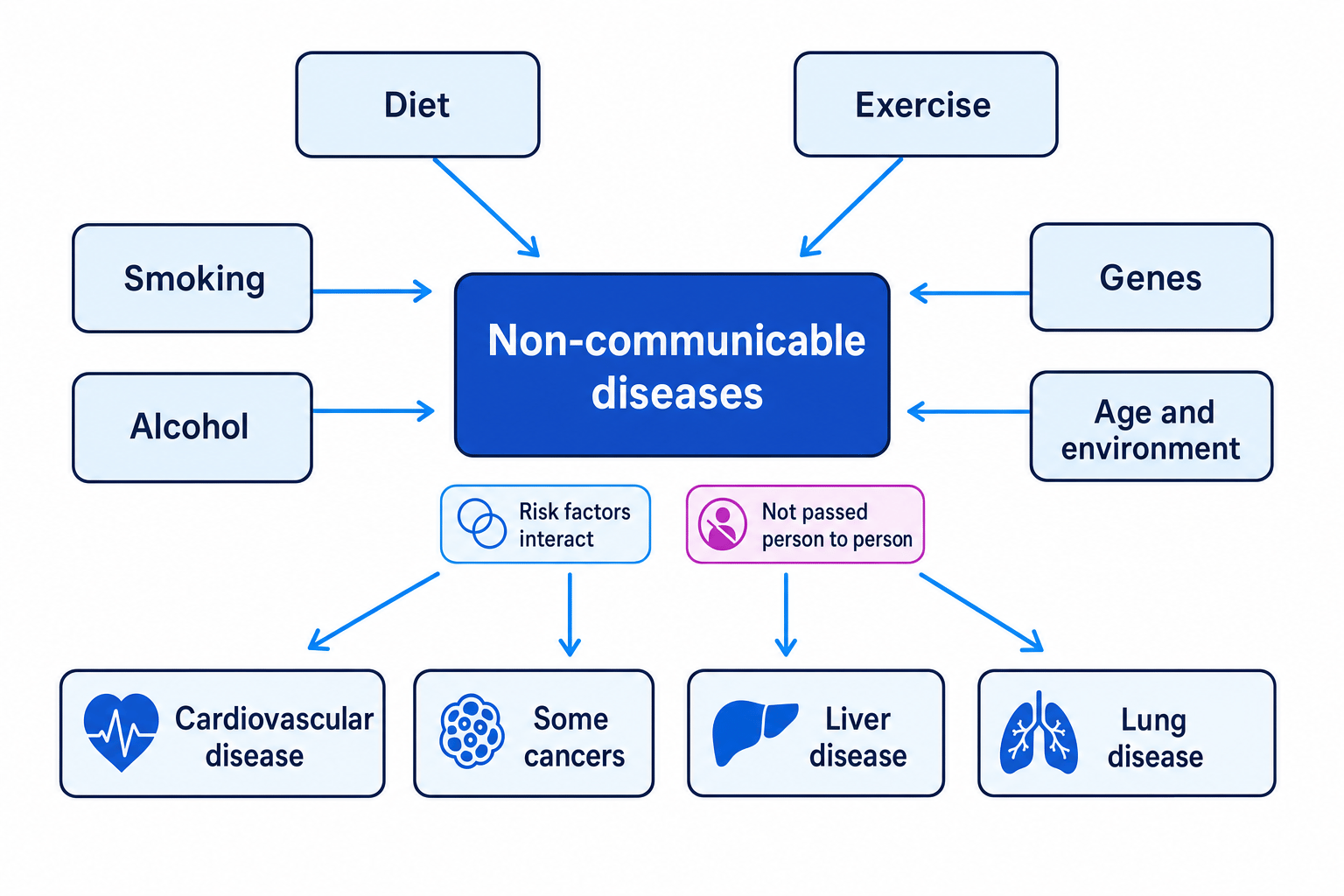 Concept map of non-communicable diseases showing diet, exercise, smoking, alcohol, genes, and age and environment affecting disease risk, with examples cardiovascular disease, some cancers, liver disease, and lung disease