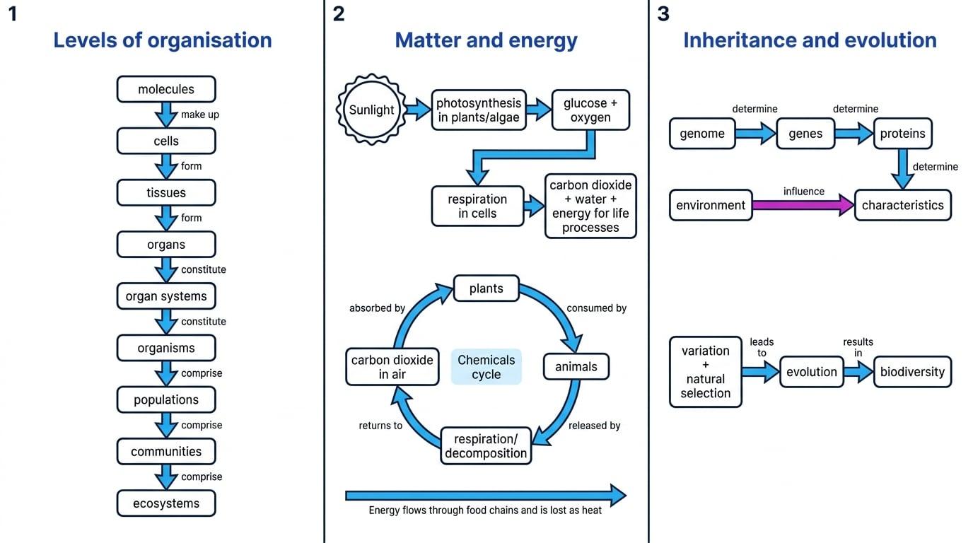 Concept map of GCSE Biology key ideas showing levels of organisation, matter and energy, and inheritance and evolution