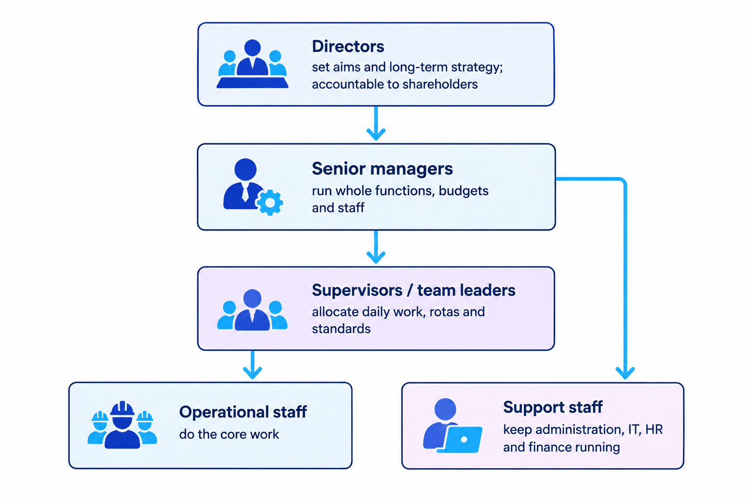 Business hierarchy showing directors, senior managers, supervisors, operational staff and support staff