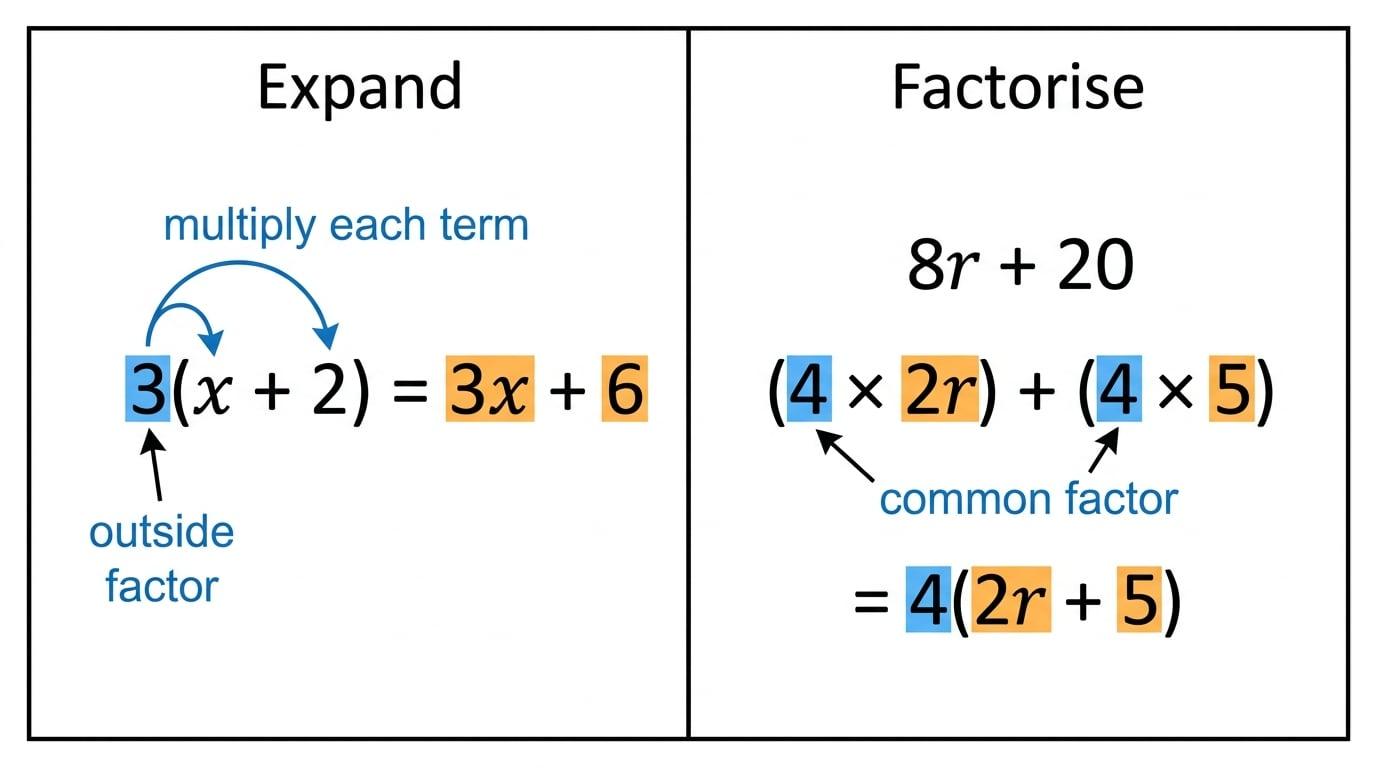 Two-panel algebra diagram showing 3 multiplied by x and 2 to expand 3(x+2), and 8r+20 rewritten as 4(2r+5) by taking out common factor 4