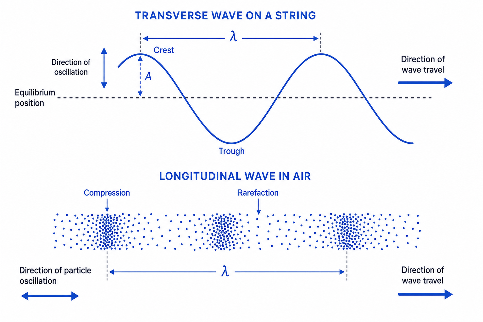 Top panel shows a transverse wave with crest, trough, amplitude, wavelength, and direction arrows; bottom panel shows a longitudinal wave with compressions, rarefactions, wavelength, and particle motion