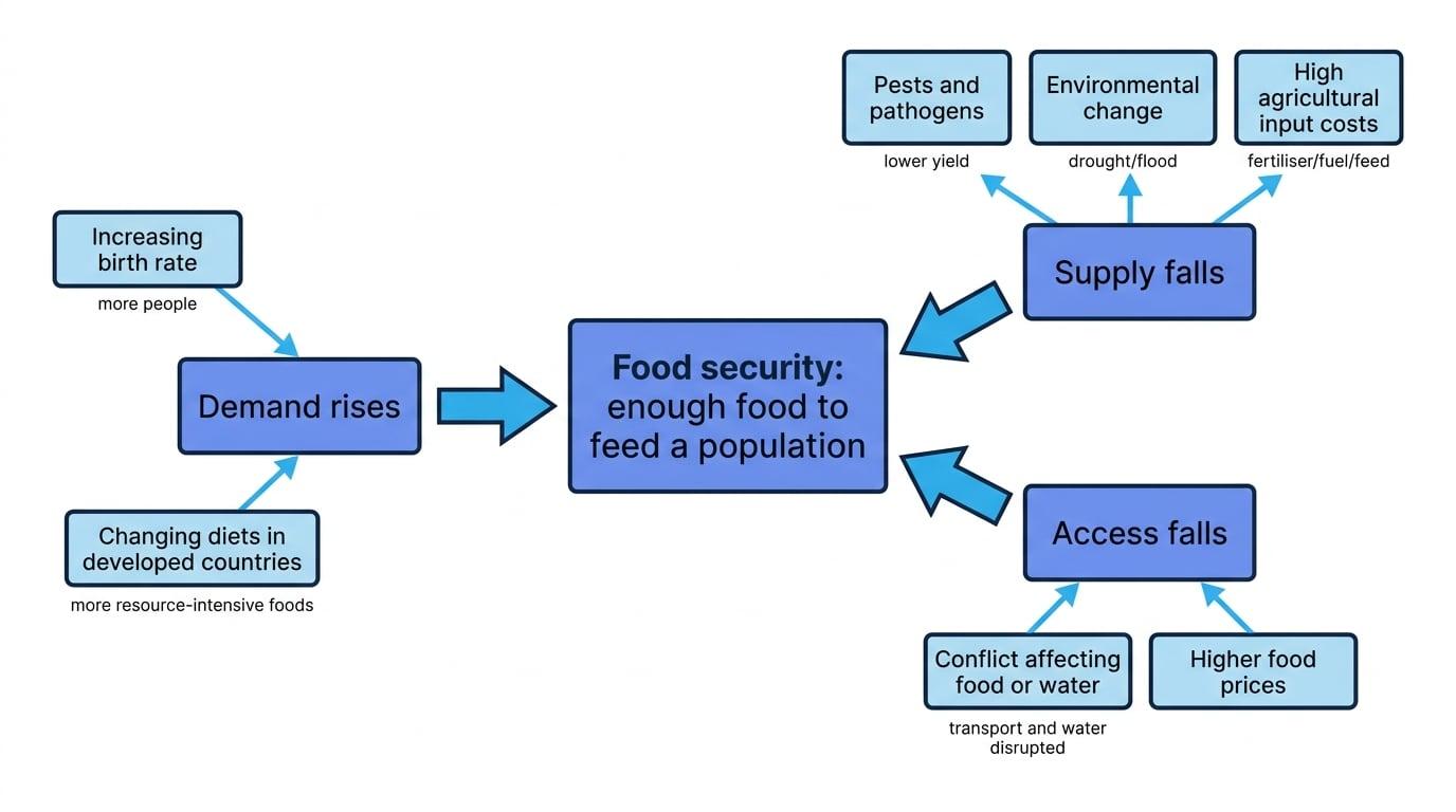 Flowchart showing food security in the centre with demand rises, supply falls, and access falls linked to birth rate, changing diets, pests and pathogens, environmental change, high input costs, conflict, and higher food prices