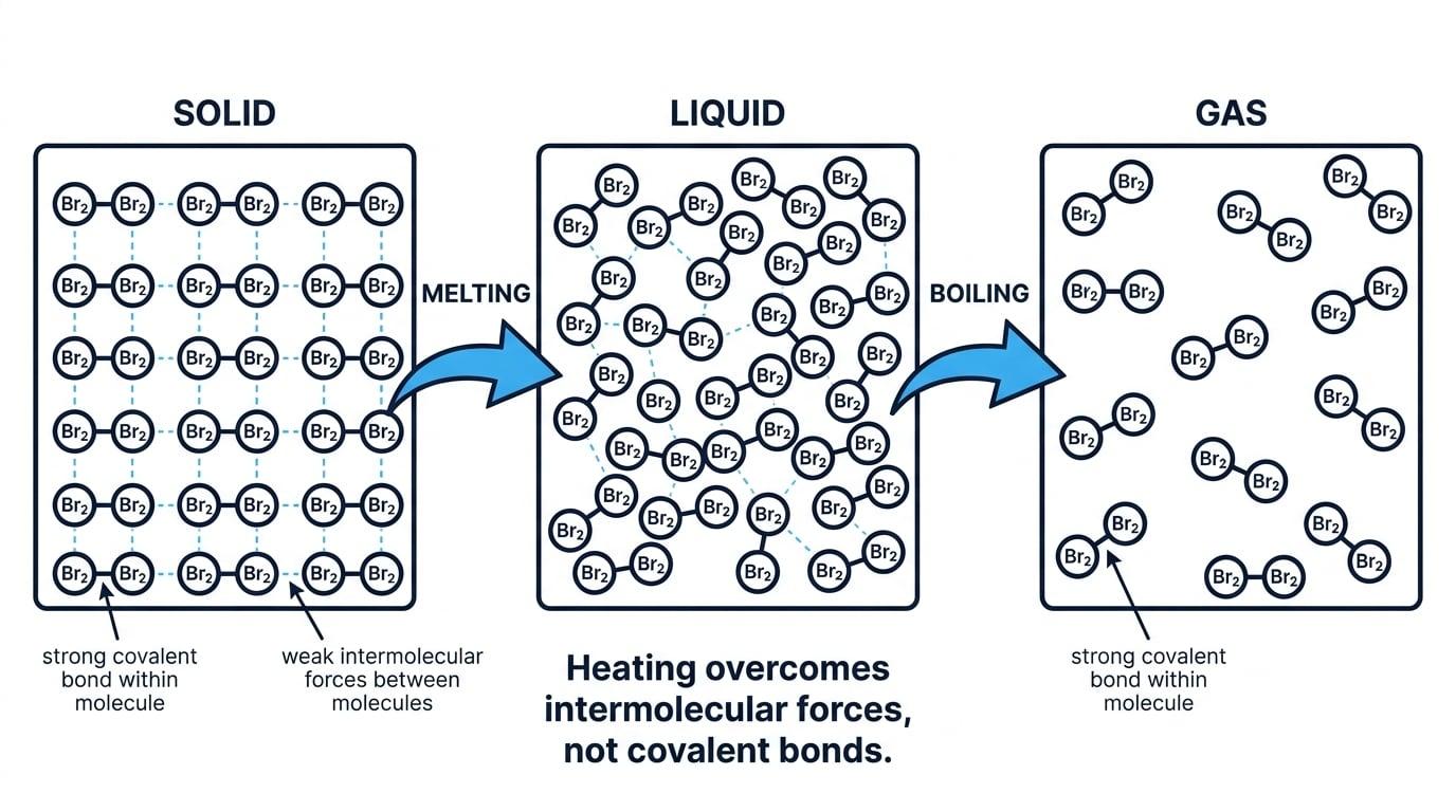 Br2 molecules in solid, liquid, and gas, with strong covalent bonds inside molecules and weak intermolecular forces between molecules labelled