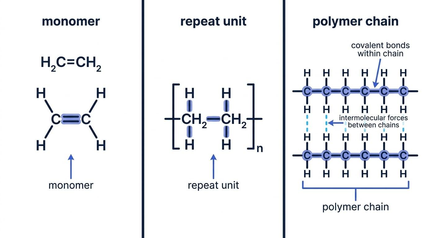 Monomer ethene, a bracketed poly(ethene) repeat unit, and two polymer chains with covalent bonds within chains and intermolecular forces between chains labelled