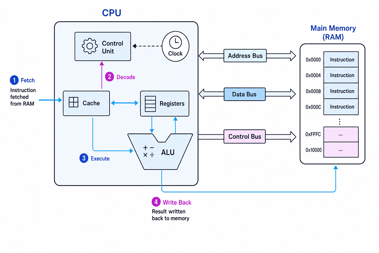 Labelled diagram of a CPU linked to RAM by address, data and control buses, showing the control unit, ALU, registers, cache, clock, and the fetch-decode-execute cycle