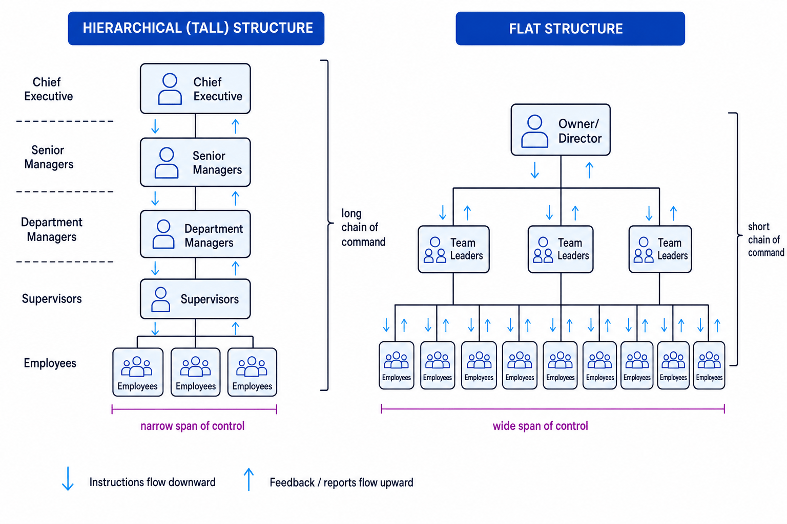Comparison of hierarchical and flat organisational structures with layers span of control and chain of command labelled