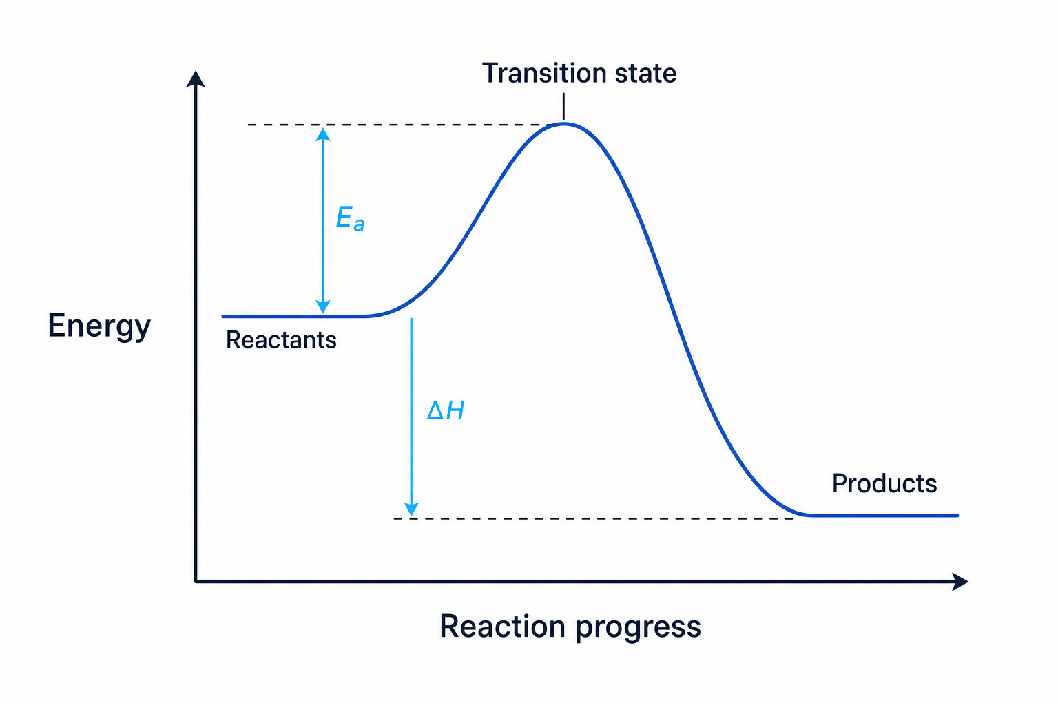 Reaction profile for an exothermic reaction with reactants, products, transition state, activation energy and enthalpy change labelled
